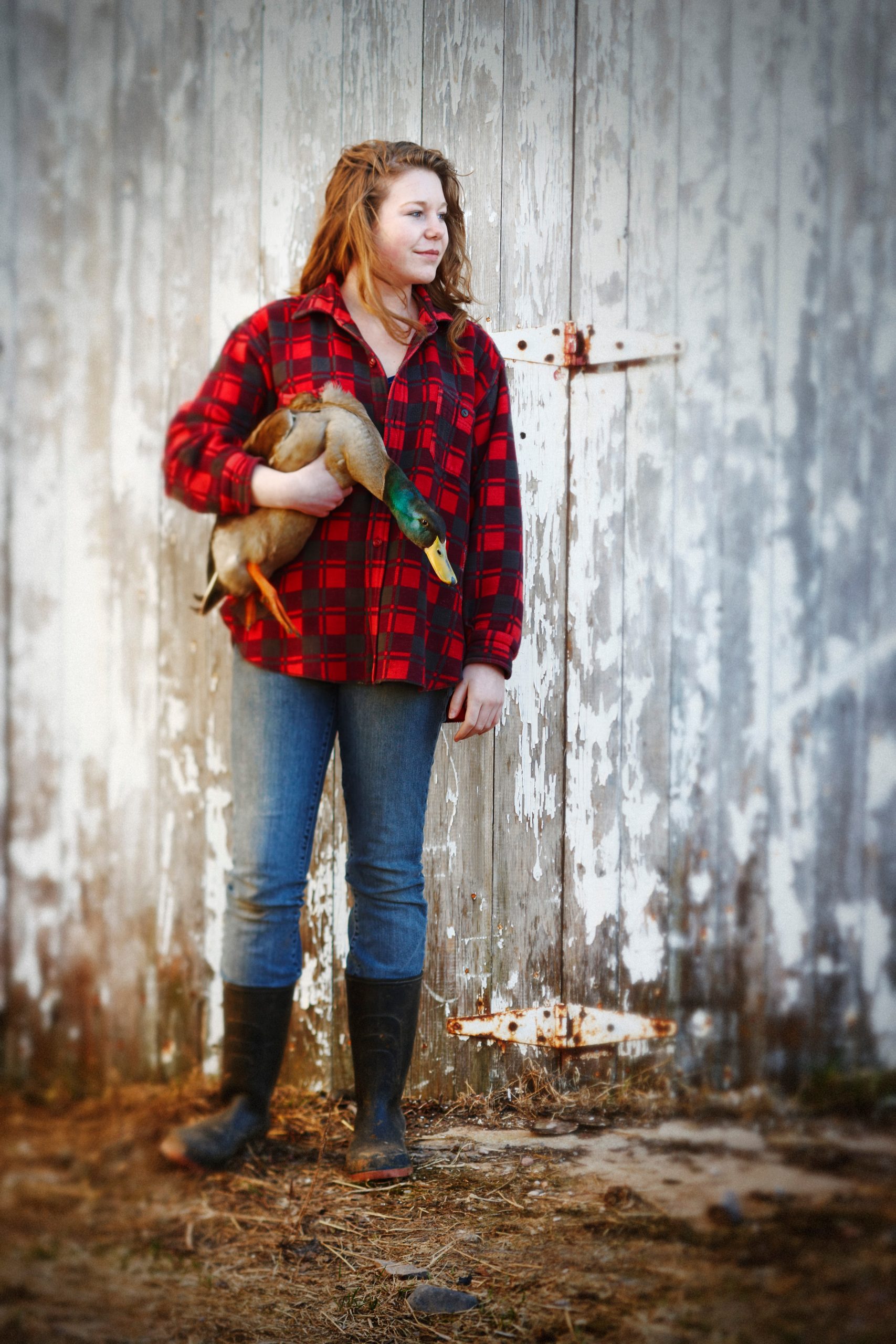 Teenage Girl holding Mallard Drake in front of Barn, Belledune, New Brunswick, Canada 600-03849751
© Yvonne Duivenvoorden
Model Release: Yes
Property Release: No
young girl in a red plaid jacket holding a male mallard duck in front of a barn